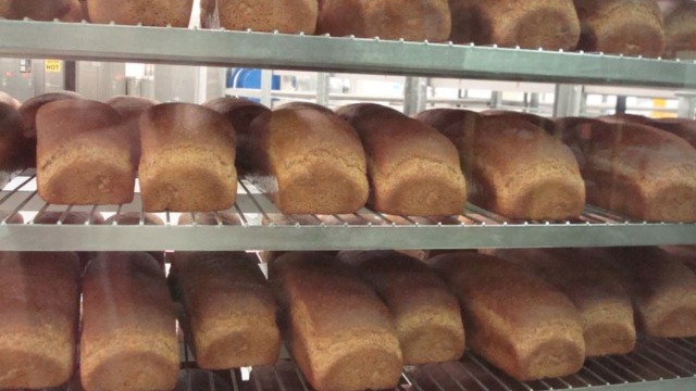 welfare_square_bread.jpeg